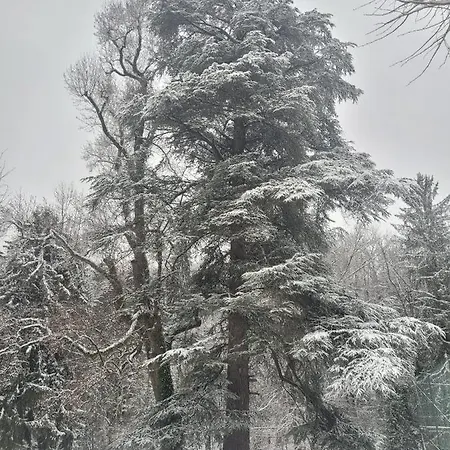 Le Clos Du Tulipier Alojamento de Acomodação e Pequeno-almoço 3*